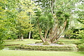 DSC04194 - Bernhard Saalfeld