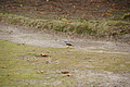 DSC04199 - Bernhard Saalfeld