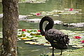 DSC04205 - Bernhard Saalfeld