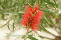 DSC04225 - Bernhard Saalfeld