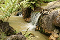 DSC04227 - Bernhard Saalfeld