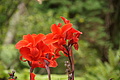 DSC04233 - Bernhard Saalfeld