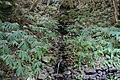 DSC04321 - Bernhard Saalfeld
