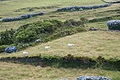 DSC04347 - Bernhard Saalfeld