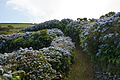 DSC04350 - Bernhard Saalfeld