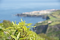 DSC04381 - Bernhard Saalfeld