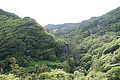 DSC04387 - Bernhard Saalfeld