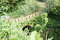 DSC04390 - Bernhard Saalfeld