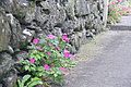 DSC04392 - Bernhard Saalfeld