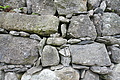 DSC04393 - Bernhard Saalfeld