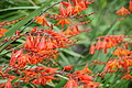 DSC04418 - Bernhard Saalfeld