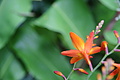 DSC04422 - Bernhard Saalfeld