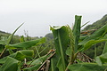DSC04424 - Bernhard Saalfeld