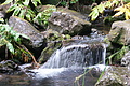 DSC04429 - Bernhard Saalfeld