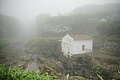 DSC04444 - Bernhard Saalfeld