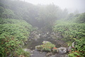 DSC04453 - Bernhard Saalfeld