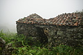 DSC04457 - Bernhard Saalfeld