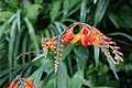 DSC04465 - Bernhard Saalfeld