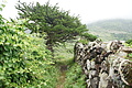 DSC04508 - Bernhard Saalfeld