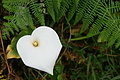 DSC04511 - Bernhard Saalfeld