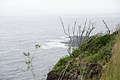 DSC04515 - Bernhard Saalfeld