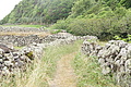 DSC04520 - Bernhard Saalfeld