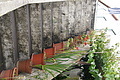 DSC04569 - Bernhard Saalfeld