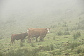 DSC04591 - Bernhard Saalfeld
