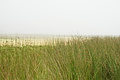 DSC04628 - Bernhard Saalfeld