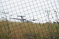 DSC04637 - Bernhard Saalfeld