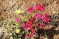 DSC04721 - Bernhard Saalfeld