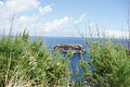 DSC04762 - Bernhard Saalfeld