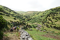 DSC04767 - Bernhard Saalfeld
