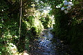 DSC04800 - Bernhard Saalfeld
