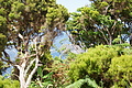 DSC04819 - Bernhard Saalfeld