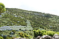 DSC04830 - Bernhard Saalfeld