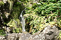 DSC04845 - Bernhard Saalfeld