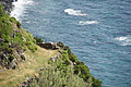 DSC04849 - Bernhard Saalfeld
