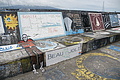 DSC05001 - Bernhard Saalfeld