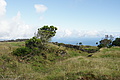 DSC05126 - Bernhard Saalfeld