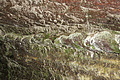 DSC05129 - Bernhard Saalfeld