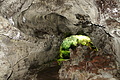 DSC05140 - Bernhard Saalfeld