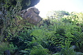 DSC05142 - Bernhard Saalfeld