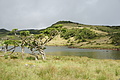 DSC05183 - Bernhard Saalfeld