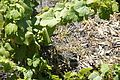 DSC05267 - Bernhard Saalfeld