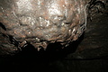 DSC05417 - Bernhard Saalfeld
