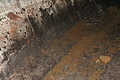 DSC05426 - Bernhard Saalfeld