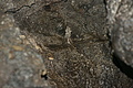 DSC05435 - Bernhard Saalfeld