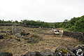 DSC05453 - Bernhard Saalfeld