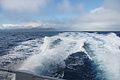 DSC05474 - Bernhard Saalfeld